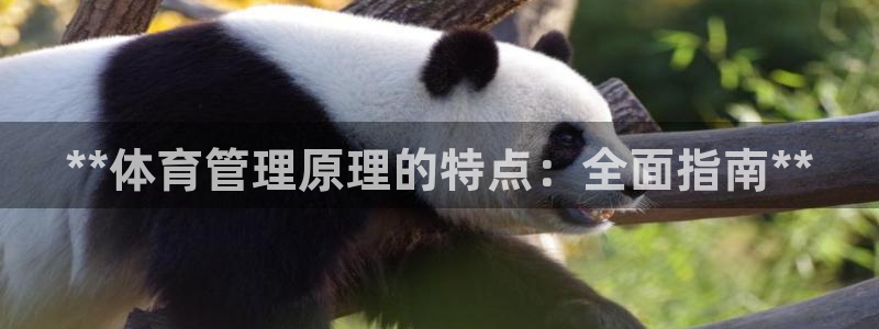 必一运动sport网