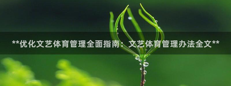必一体育电子app：**优化文艺体育管理全面指南：文艺体育管