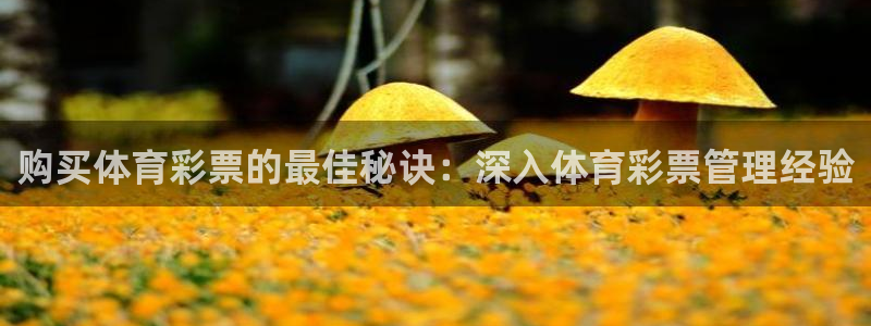 必一体育网站：购买体