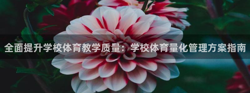 必一体育黑平台：全面