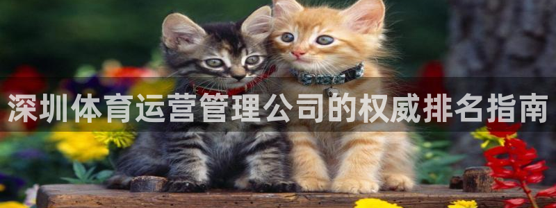 必一体育官方下载：深