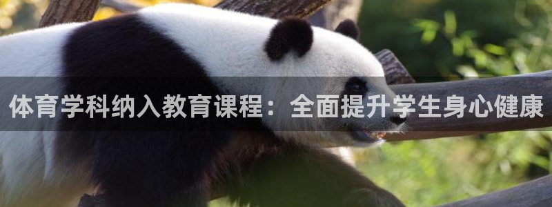 必一体育sport网