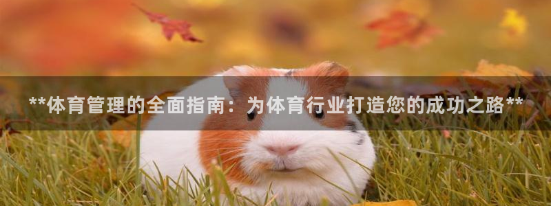 必一体育sport网