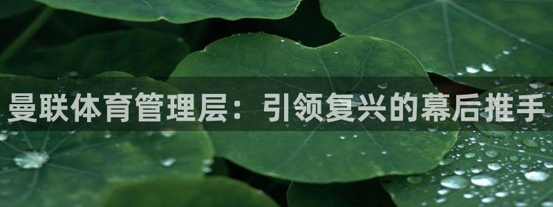 必一体育下载app：