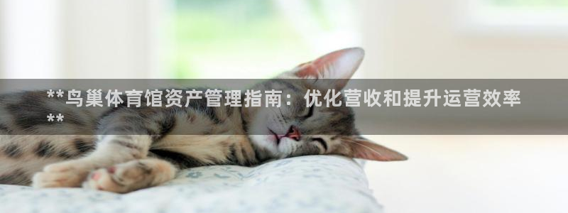 必一体育网页：**鸟