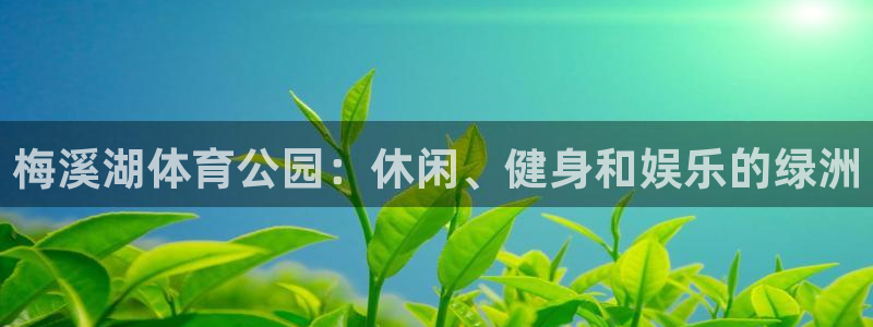 必一体育app平台下