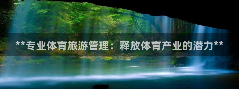 必一体育手机下载：*