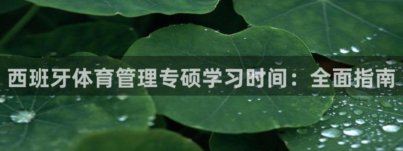 必一体育平台：西班牙体育管理专硕学习时间：全面指南