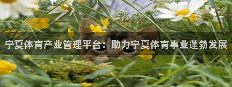 必一运动官网：宁夏体