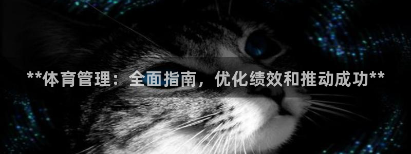 必一体育下载义：**