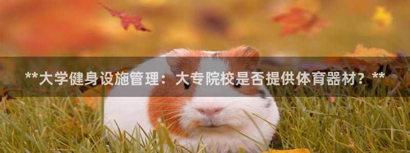 必一体育官方入口：*