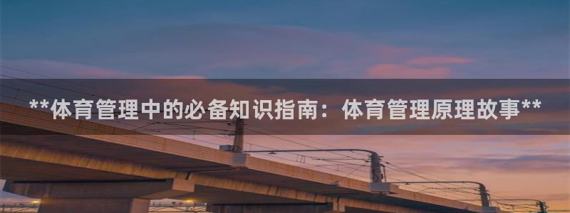 必一体育电子app：