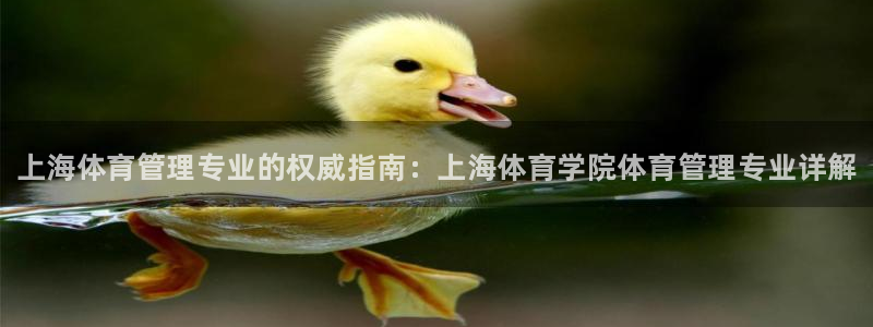 必一运动·(b-sports)官方网站：上海体育管理专业的权