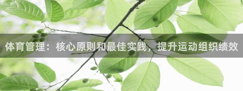 必一体育app官方下载入口：体育管理：核心原则和最佳实践，提