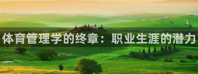 必一体育sport官方网站：体育管理学的终章：职业生涯的潜力