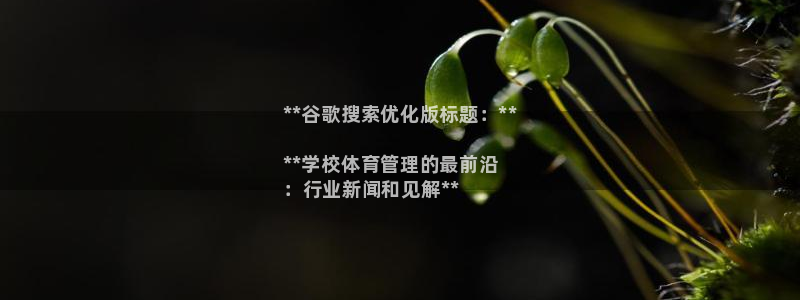 必一体育手机下载：*