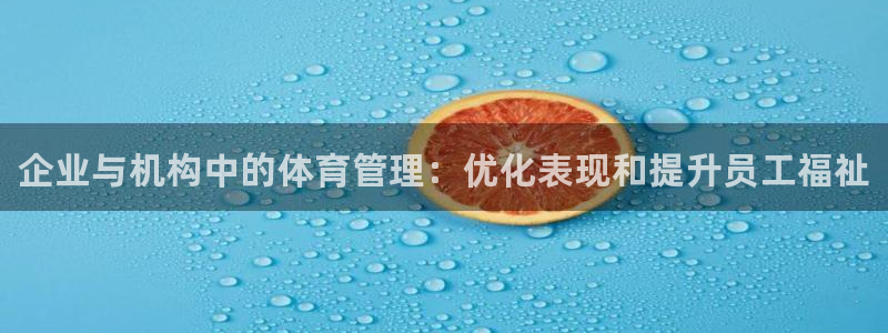 必一运动·体育：企业与机构中的体育管理：优化表现和提升员工福