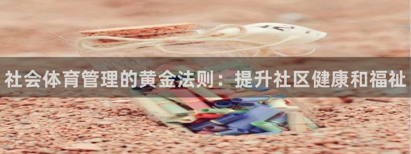 必一体育最新官网入口