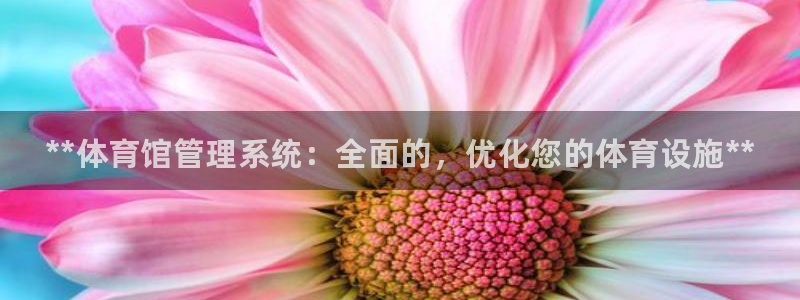 必一体育官方下载入口