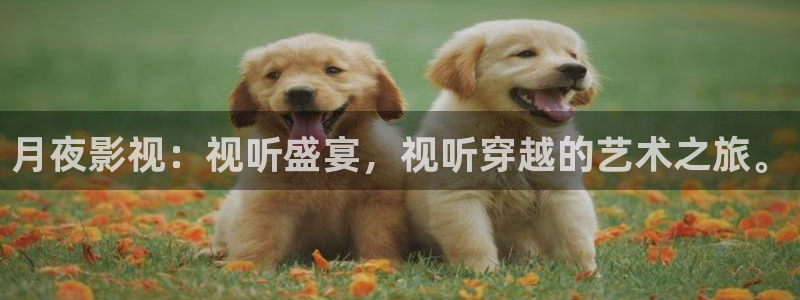 深夜影院aa：月夜影视：视听盛宴，视听穿越的艺术之旅。