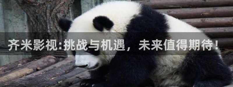 欧美成人aa大片：齐米影视:挑战与机遇，未来值得期待！