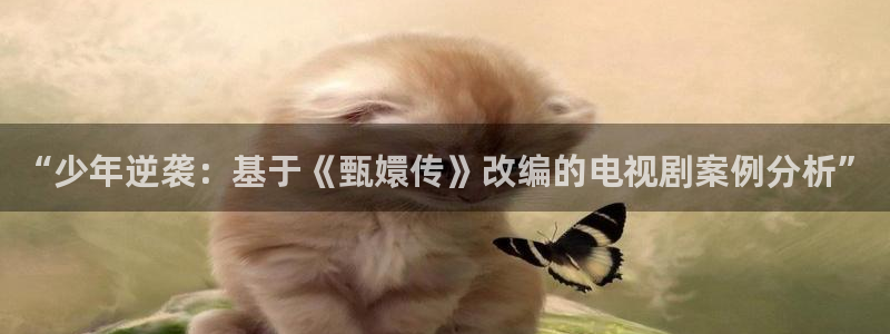 午夜aaa影院：“少年逆袭：基于《甄嬛传》改编的电视剧案例分析”