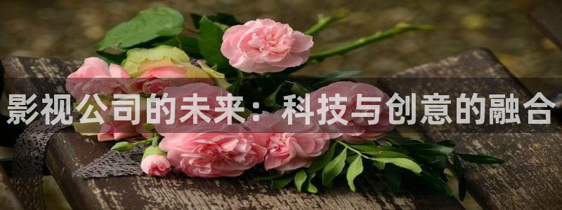 欧美aaaaaa免费电影：影视公司的未来：科技与创意的融合