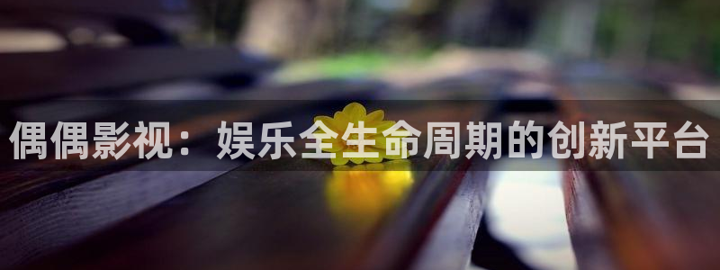 aaa午夜电影：偶偶影视：娱乐全生命周期的创新平台