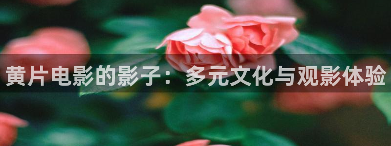 欧美aaaaaaa大片：黄片电影的影子：多元文化与观影体验
