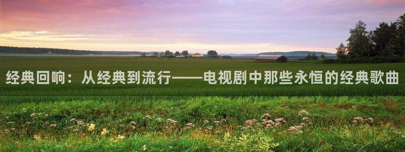 611aa亚洲综合影院：经典回响：从经典到流行——电视剧中那些永恒的经典歌曲