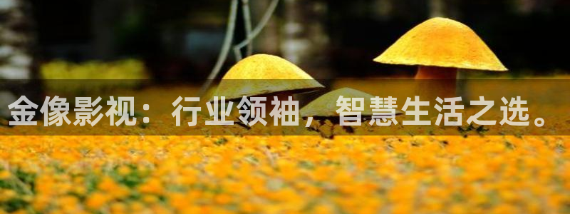 611aa亚洲综合影院：金像影视：行业领袖，智慧生活之选。