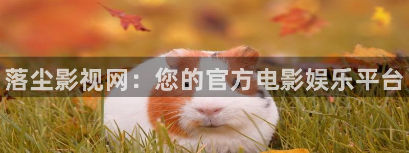 亚洲影院aa：落尘影视网：您的官方电影娱乐平台