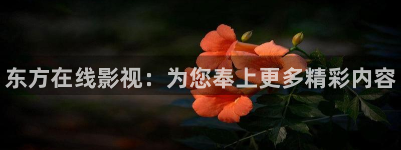waazp九七影院：东方在线影视：为您奉上更多精彩内容