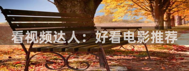aaa午夜影院在线观看：看视频达人：好看电影推荐