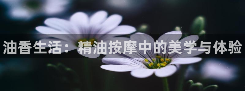 aaqqy青苹果影院：油香生活：精油按摩中的美学与体验