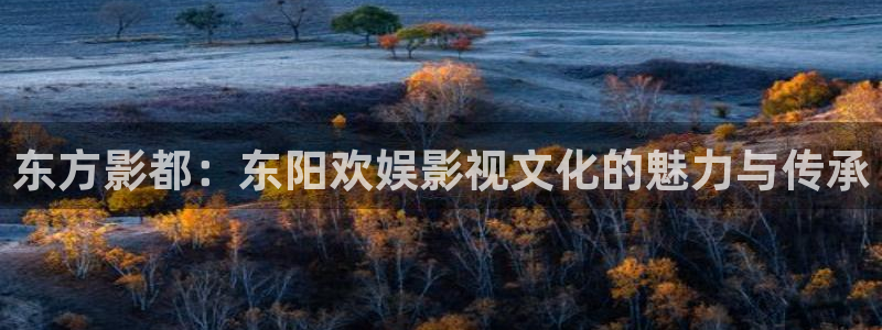 免费看欧美aaa片：东方影都：东阳欢娱影视文化的魅力与传承