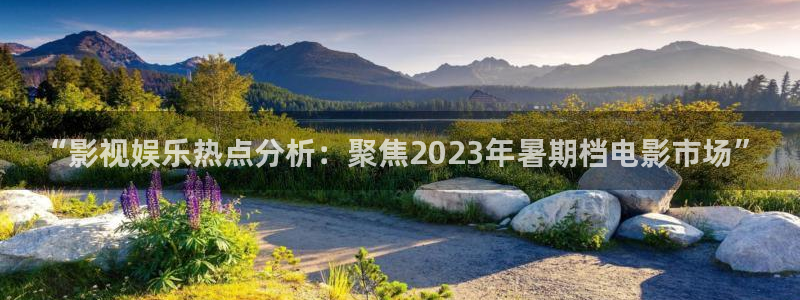 在线影院aaaa：“影视娱乐热点分析：聚焦2023年暑期档电影市场”